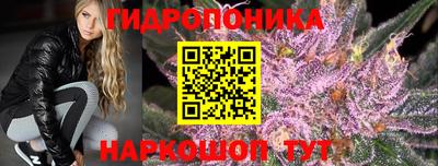 твердый Лесосибирск