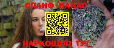 МДПВ Ливны