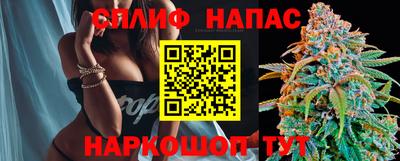 МДПВ Ливны