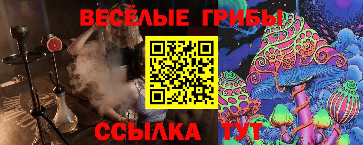 Тимашёвск  Галлюциногенные грибы Psilocybine cubensis  Вход с VPN  Галлюциногенные грибы GOLDEN TEACHER 